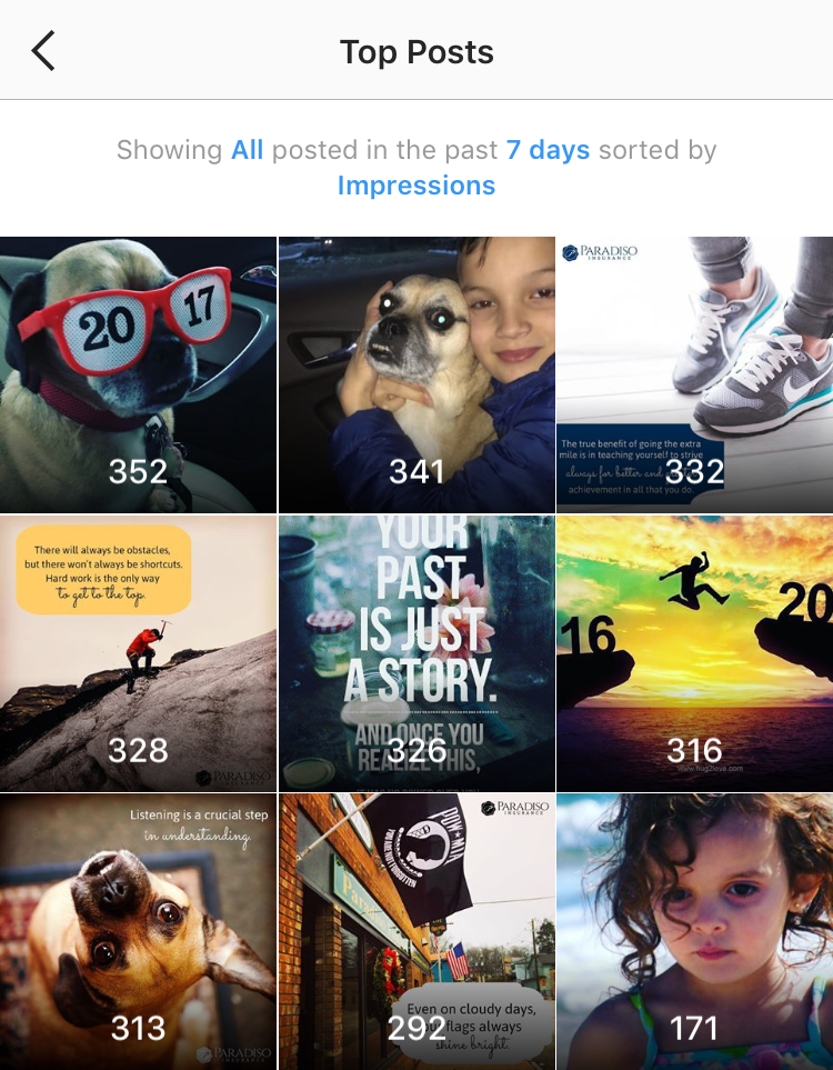 instagram-stats-for-presents