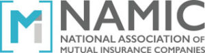 namic logo