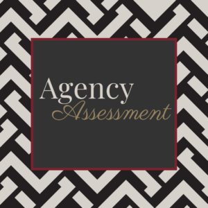 insurance agency assessment