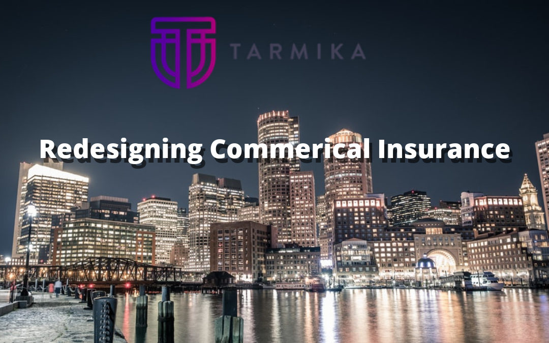 Tarmika – Get Profitable In Small Commercial